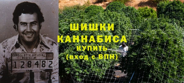 ГАЛЛЮЦИНОГЕННЫЕ ГРИБЫ Осташков